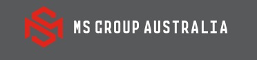 NS logo